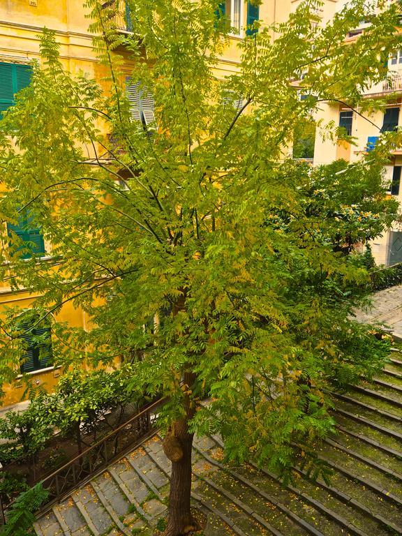 B&B Cernaia 42 La Spezia Exterior photo